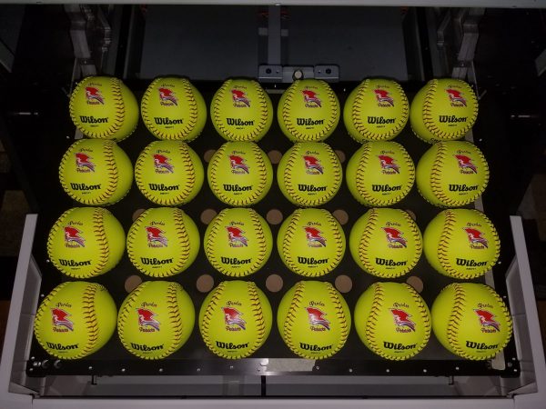 Custom Printed Softballs - Image 5